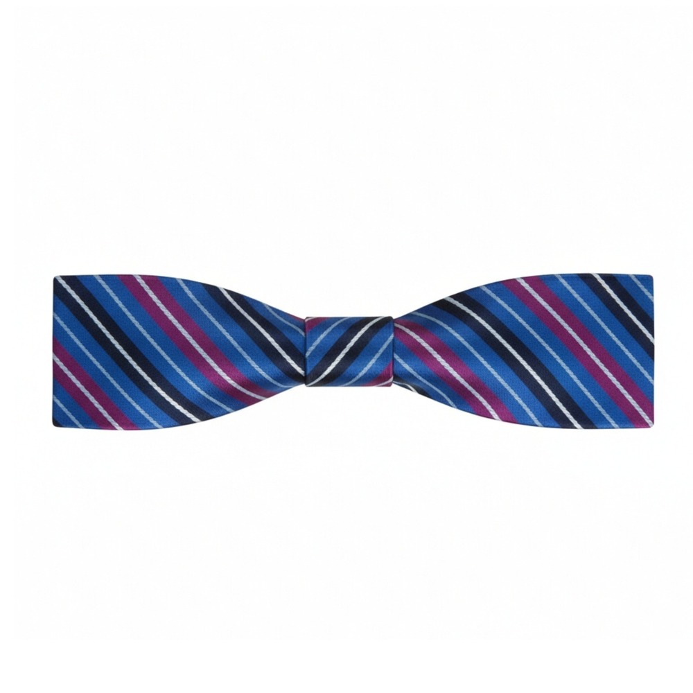 Rooster Mens Blue Purple Stripe Adjustable Silk Bow Tie